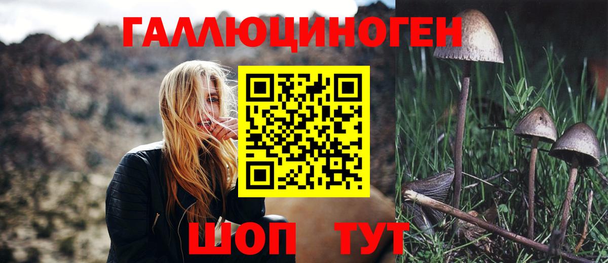 Галлюциногенные грибы Psilocybine cubensis  Галлюциногенные грибы Psilocybe  где купить наркоту  Россошь  Вход с VPN 